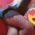 Mükemmel Orgazmın Da En Uç Noktası Sizi Bekliyor Kayseri Escort - Görsel5